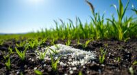 agricultural potassium sulfate benefits