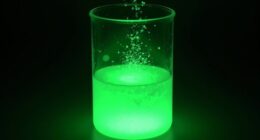 radioactive decay process