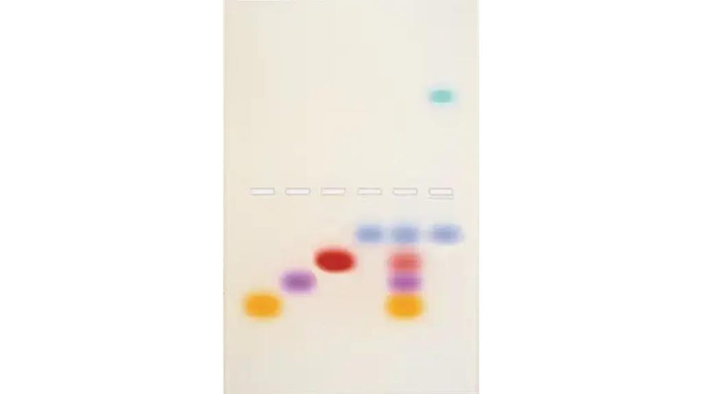 agarose gel electrophoresis techniques