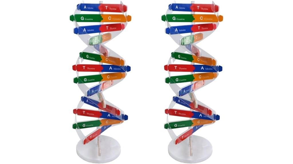 dna education model kit