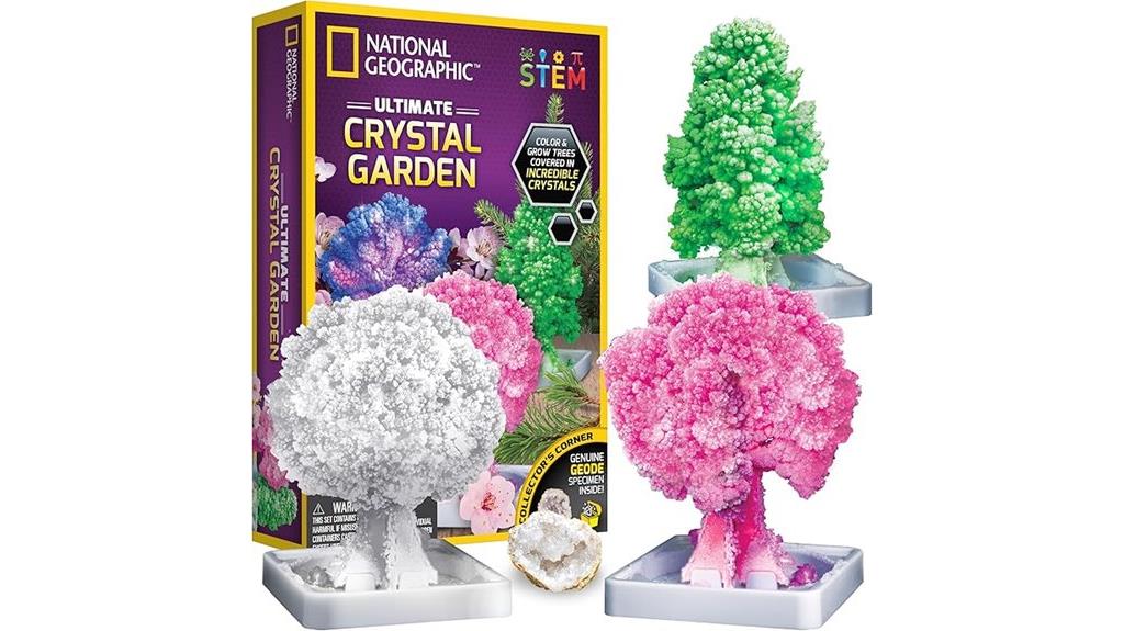 educational crystal growing kit