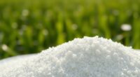 magnesium sulfate s agricultural applications