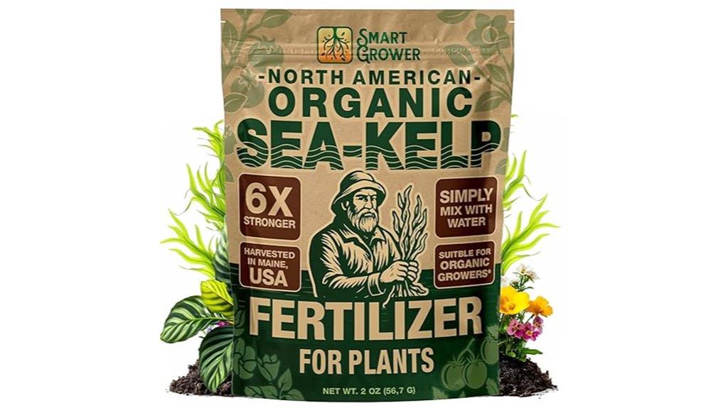 organic seaweed plant fertilizer