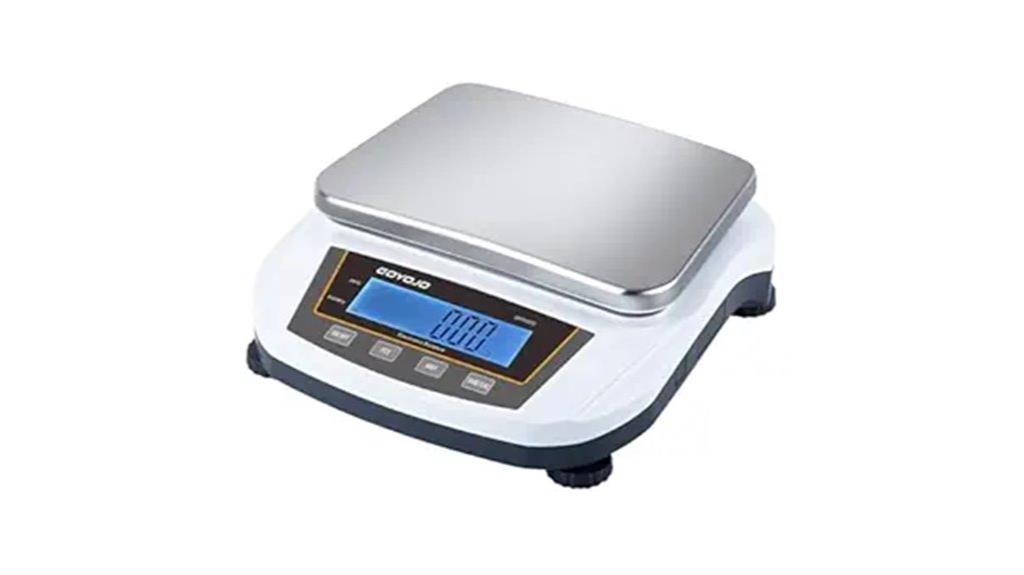 precise stainless steel balance
