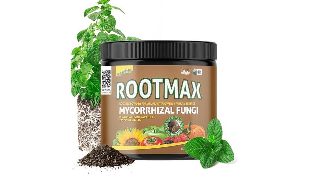 root max mycorrhizae fungi