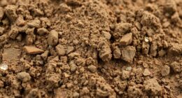 soil cation exchange capacity