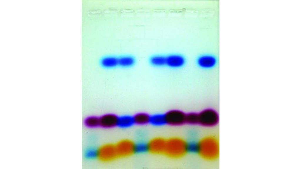 walter modern biology kit
