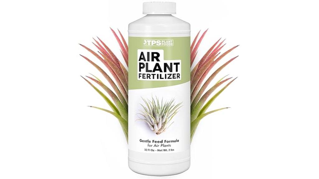 air plant fertilizer dosage