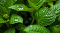 top aba stress treatments