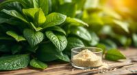 top gibberellic acid options