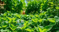 top plant defense boosters