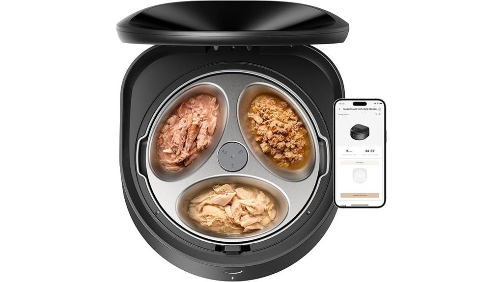 automatic stainless cat feeder