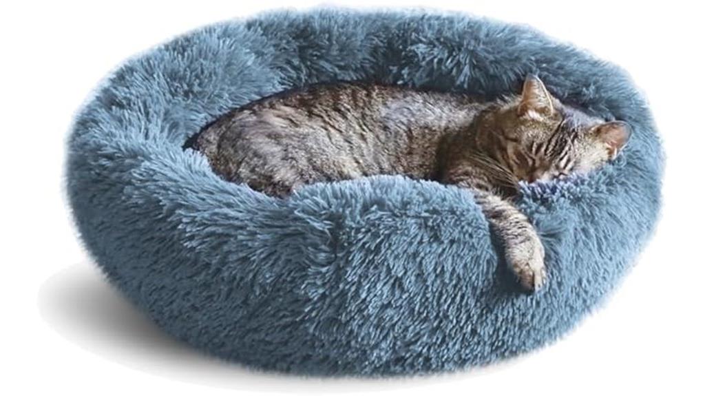 cozy indoor cat bed