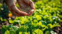 essential micronutrient fertilizers overview