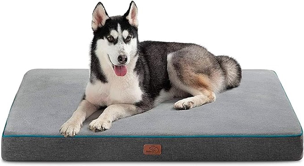 large grey orthopedic bed