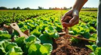 organic nitrogen fertilization methods