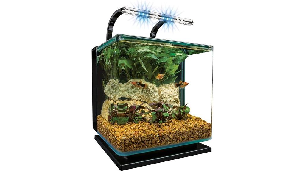 small 3 gallon aquarium kit