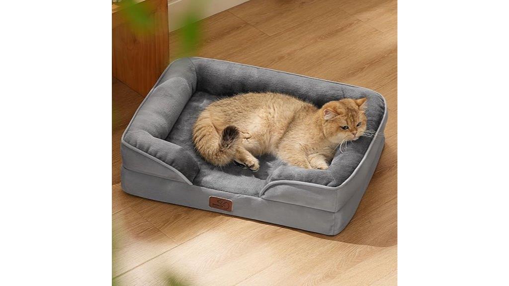 small orthopedic dog bed