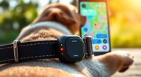 top lte pet trackers