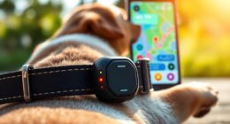 top lte pet trackers