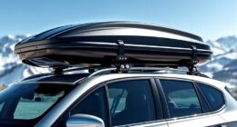 top ski roof cargo boxes
