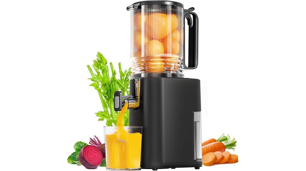 wide feed chute juicer