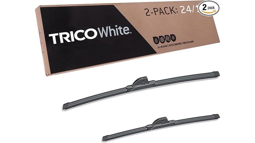 winter wiper blade set