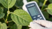 chlorophyll meters optimize nitrogen