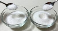 compare powders solubility