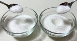 compare powders solubility