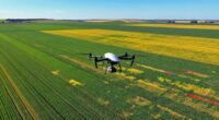 drone based crop stress detection
