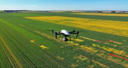 drone based crop stress detection