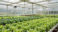 enhanced indoor farming supplies