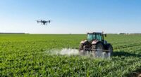 fertilizer s impact on agriculture