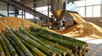 impact of feedstock selection
