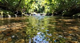 importance of clean water