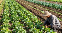 natural versus conventional methods