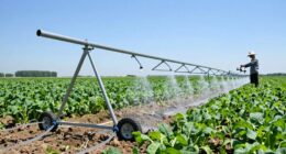 nutrient delivery through irrigation