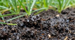 rain increases soil potassium