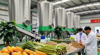 renewable materials in manufacturing