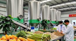 renewable materials in manufacturing