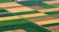 satellite maps aid farming