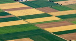 satellite maps aid farming