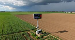 weather impacts nitrogen planning