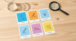 13 Best Science Reference Flashcards in 2026