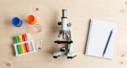 Best Educational Science Kits For Students Compared