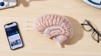 Indian Scientists Produce Most Detailed 3D Atlas Of The Human Brainstem
