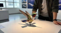 Nasa Hummingbird Shaped Satellite Image