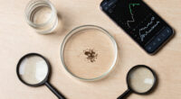 What Do We Know About The Microplastics Inside Us?